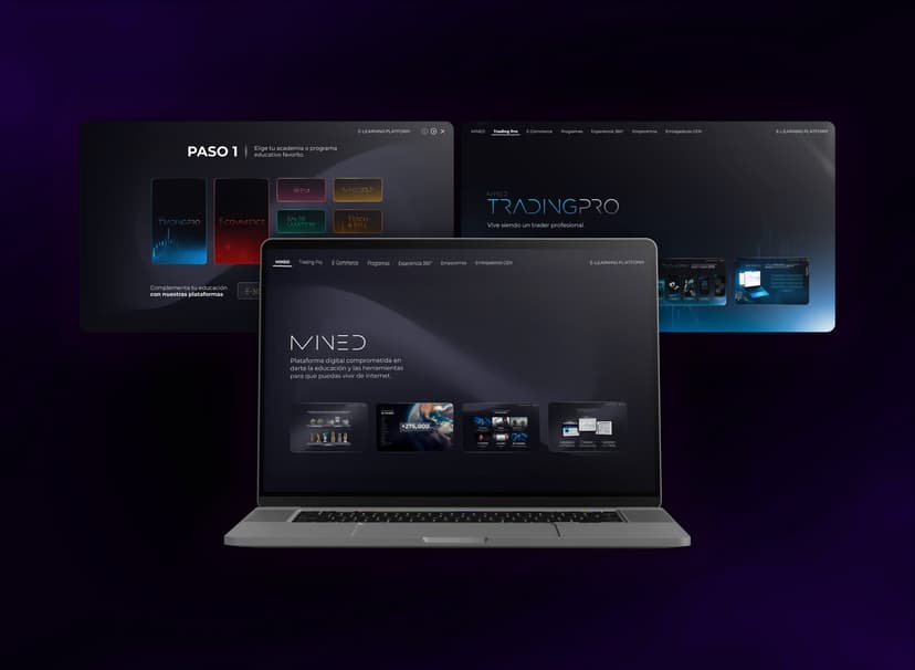 imagen Presentación MINED Web